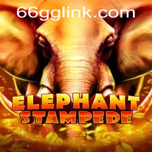 66gg PH Login Casino App